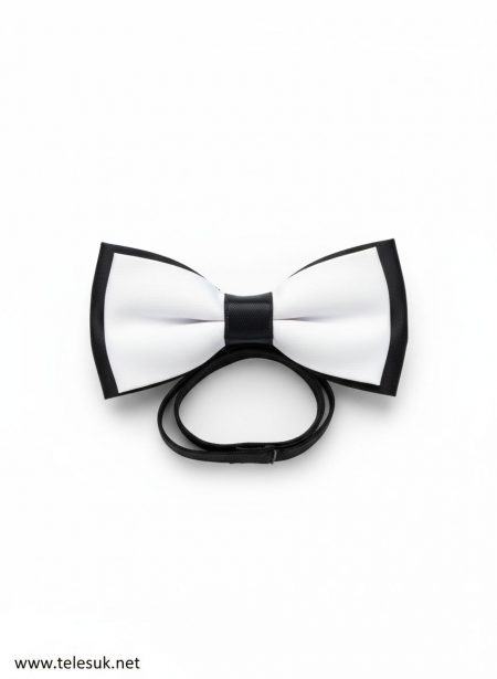 የፀጉር ማስያዣ 1